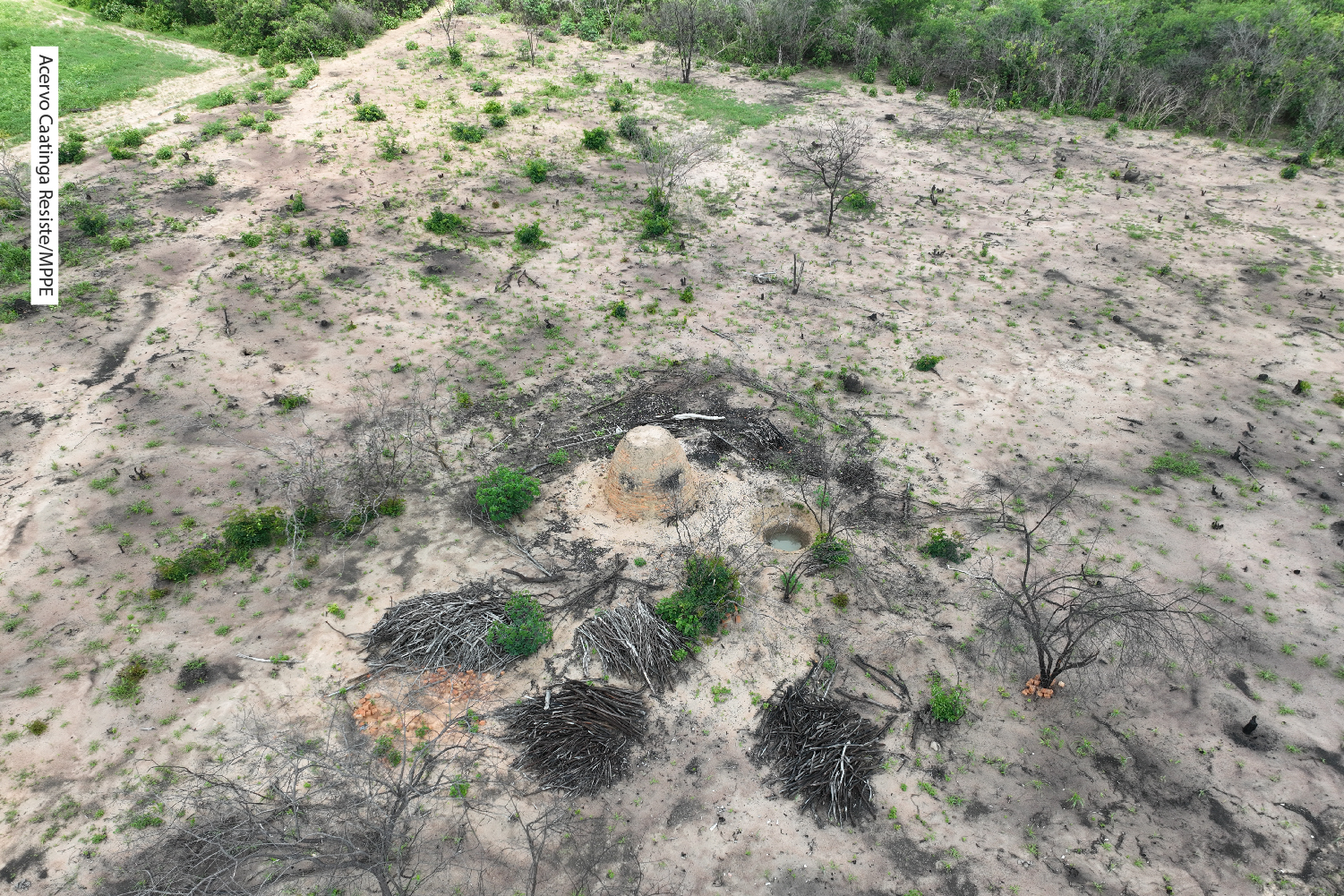 Caatinga Resiste: fiscalização ambiental obtém resultado expressivo em PE