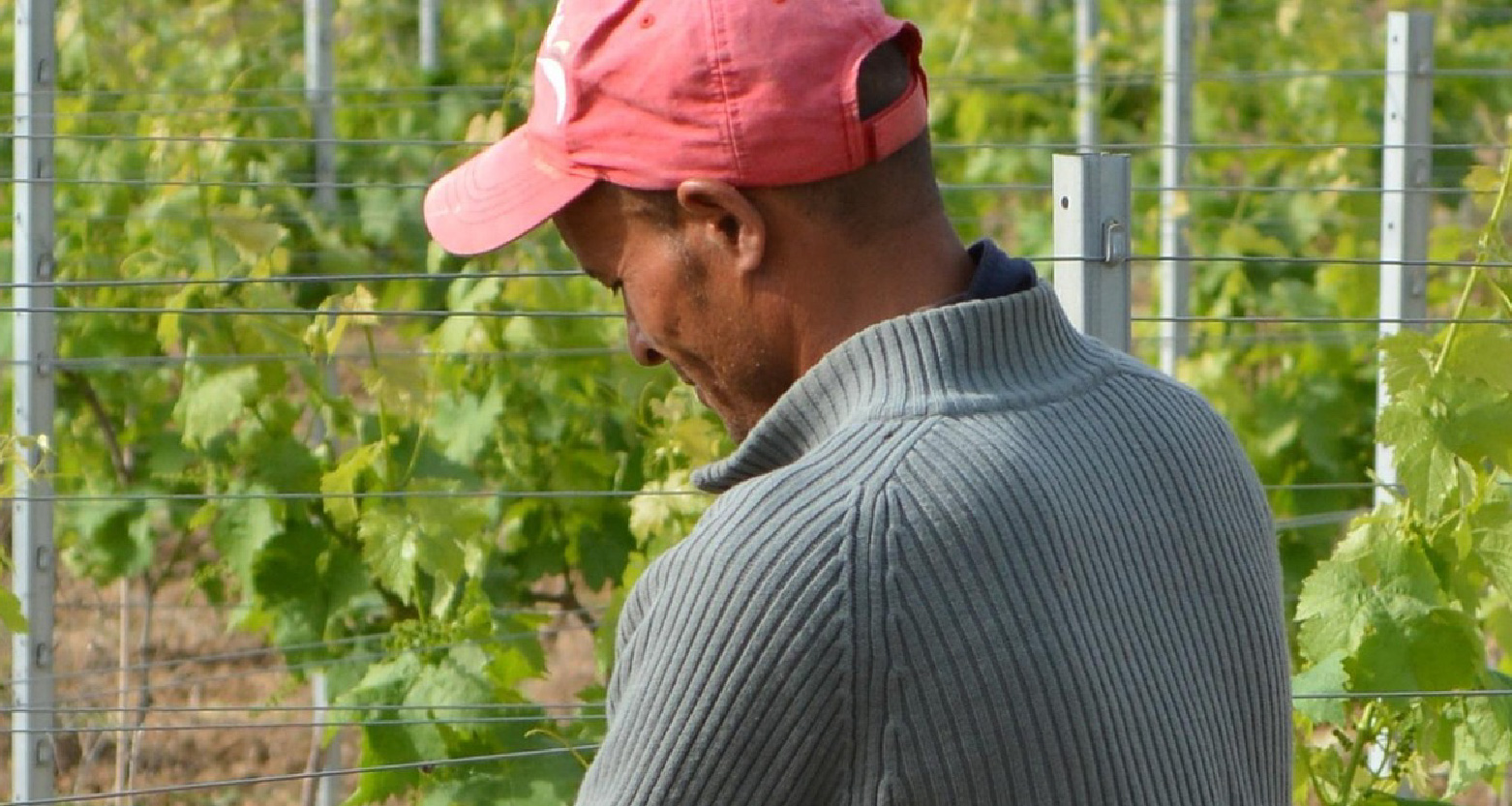 Recomendação visa assegurar permanência de famílias em área rural