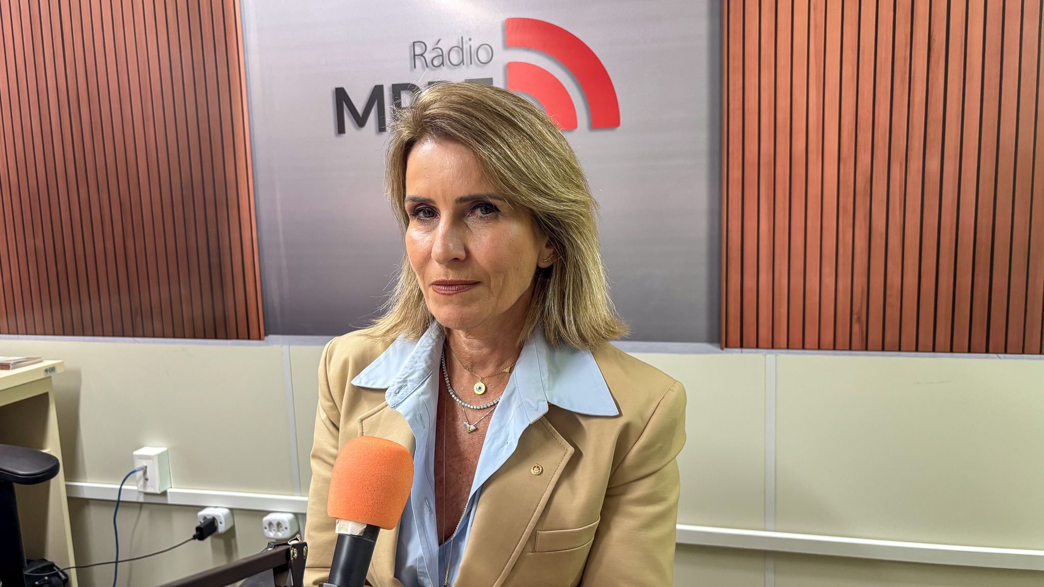 Plenário Vivo #14 – A Central de Inquéritos da Capital como suporte à efetividade da persecução penal