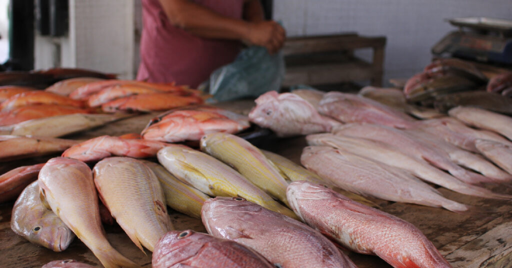 MP pede ajustes sanitários no Mercadão do Cabo de Santo Agostinho